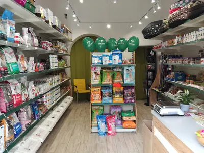 Fika Town - Sklep zoologiczny Bydgoszcz